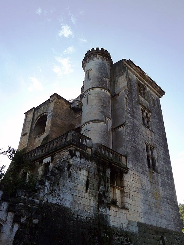 Montclard :  le château - Saint-Georges-de-Montclard