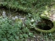 Photo suivante de Saint-Georges-de-Montclard la fontaine des léberous