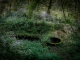 Photo précédente de Saint-Georges-de-Montclard la fontaine des léberous