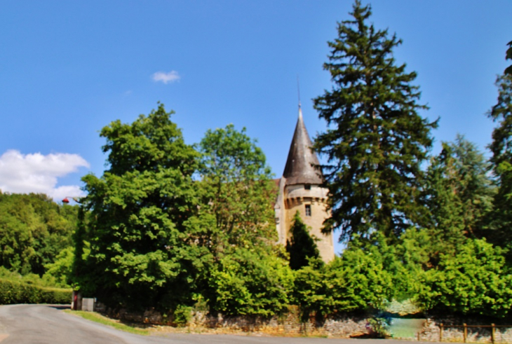 Château  - Saint-Germain-des-Prés