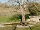 Le Lavoir.