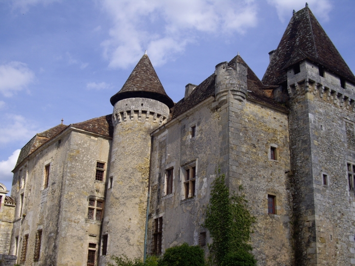 Le château 15ème siècle. - Saint-Jean-de-Côle