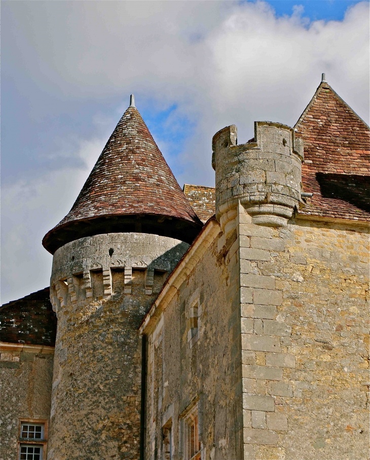 Château de la Marthonie du XIIe siècle - Saint-Jean-de-Côle