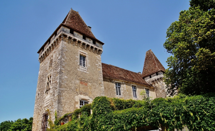 Château de la Marthonie - Saint-Jean-de-Côle