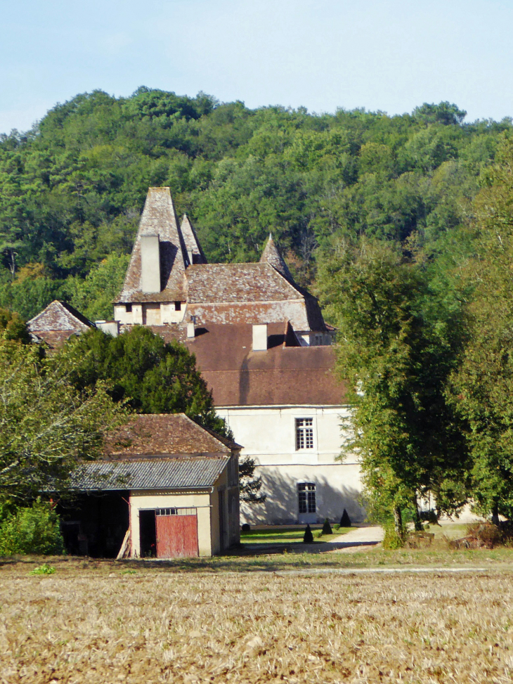 Vue sur le château - Saint-Jean-de-Côle