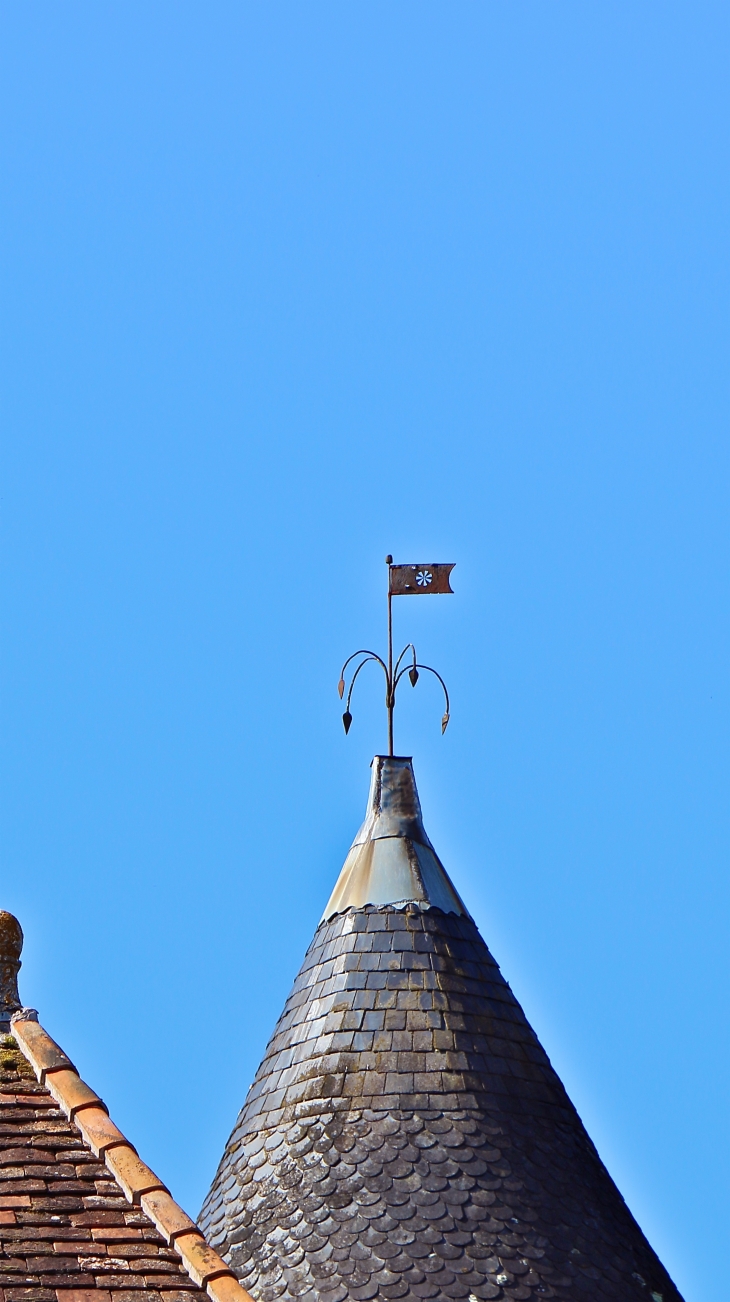 Girouette du château. - Saint-Jory-las-Bloux