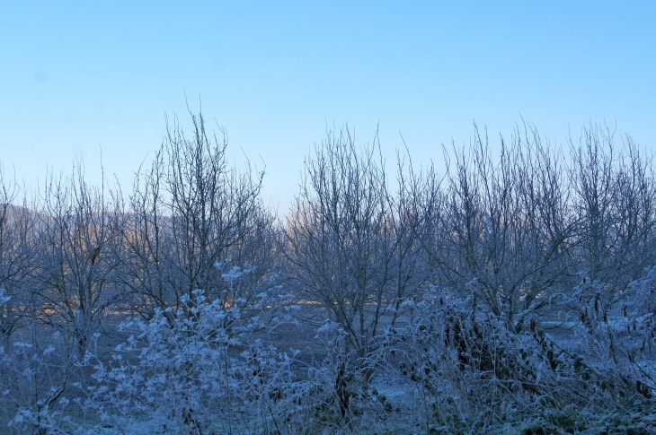 Aux alentours. - Saint-Julien-de-Lampon