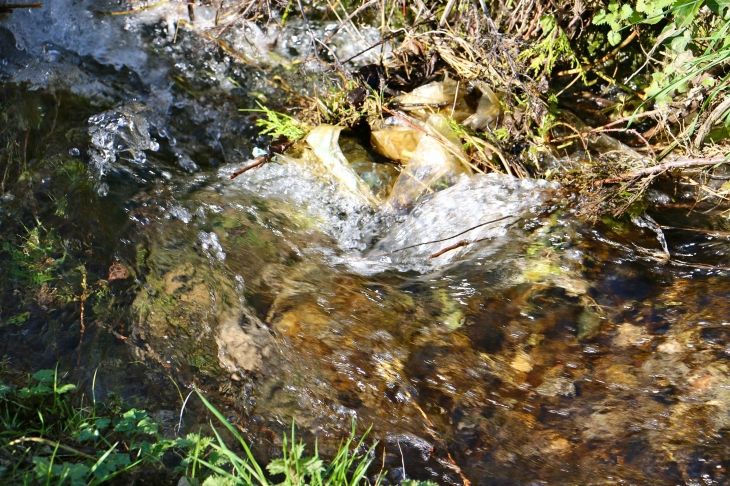 Le Caudreau. - Saint-Laurent-des-Bâtons