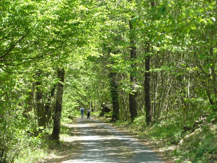 Rando dans les bois - Saint-Léon-sur-l'Isle