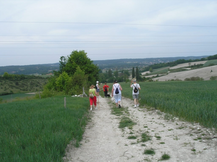 Rando sur les coteaux de Saint Léon - Saint-Léon-sur-l'Isle