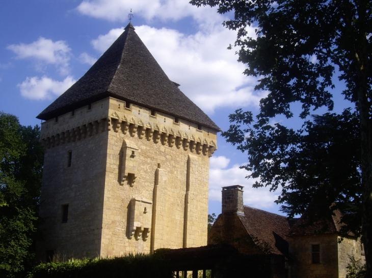 Manoir de la Salle, donjon 14ème couvert de lauzes. - Saint-Léon-sur-Vézère