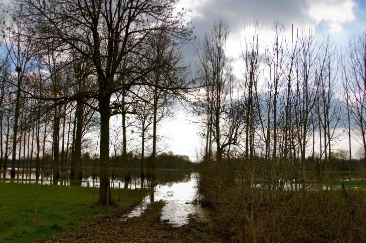 L'isle en crue. - Saint-Martin-l'Astier