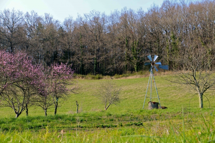 Aux alentours. - Saint-Martin-le-Pin