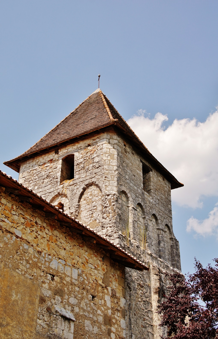  église Saint-Martin - Saint-Martin-le-Pin