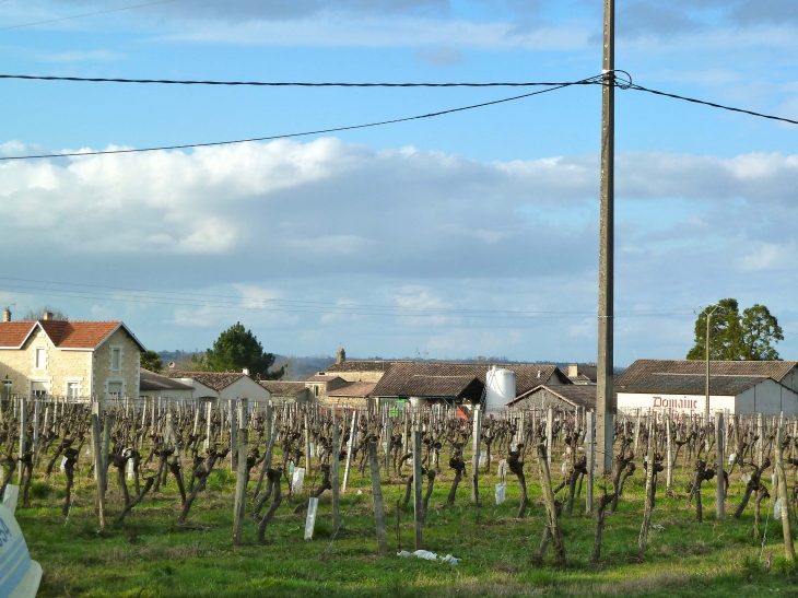 Bonnefare - Saint-Michel-de-Montaigne