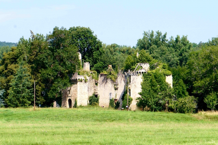 Ruines du château de Marqueyssac, XVe siècle - Saint-Pantaly-d'Ans