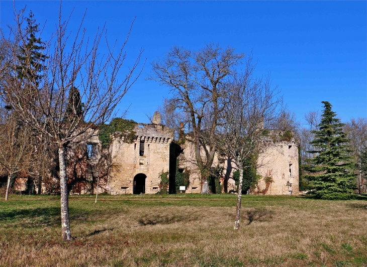 Les ruines duchâteau de Marqueyssac - Saint-Pantaly-d'Ans