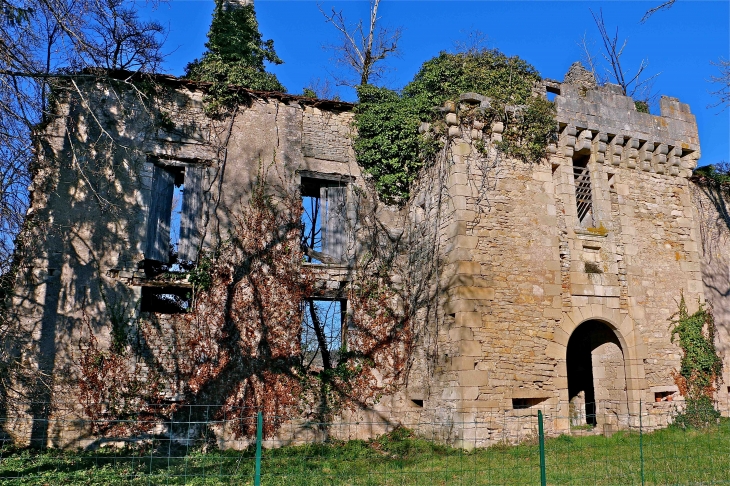 Les ruines duchâteau de Marqueyssac - Saint-Pantaly-d'Ans