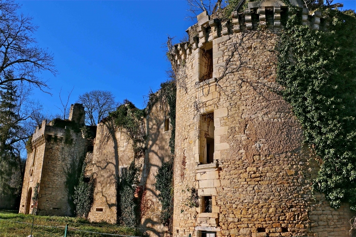 Les ruines duchâteau de Marqueyssac - Saint-Pantaly-d'Ans