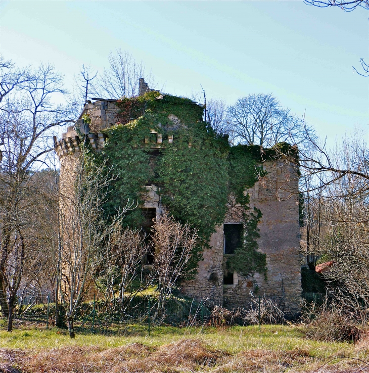 Les ruines duchâteau de Marqueyssac - Saint-Pantaly-d'Ans