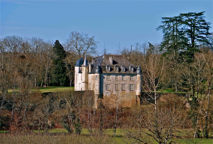 Le château de la Roche - Saint-Pantaly-d'Excideuil