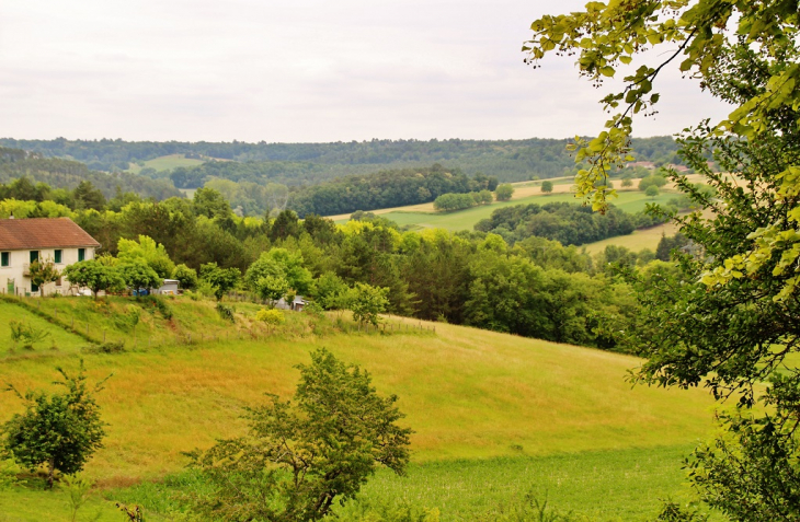 La Campagne - Saint-Pardoux-de-Drône