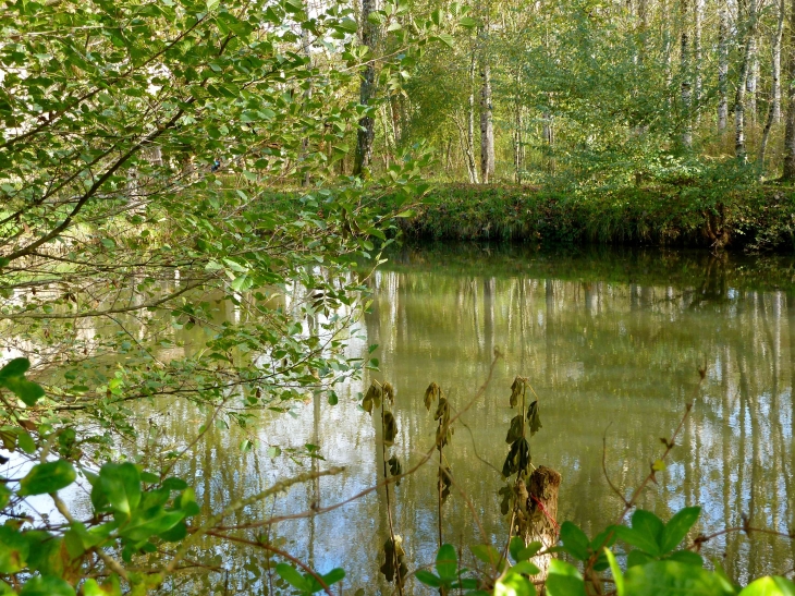 Le Petit étang - Saint-Paul-de-Serre