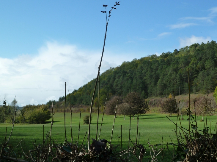 Aux alentours - Saint-Paul-de-Serre