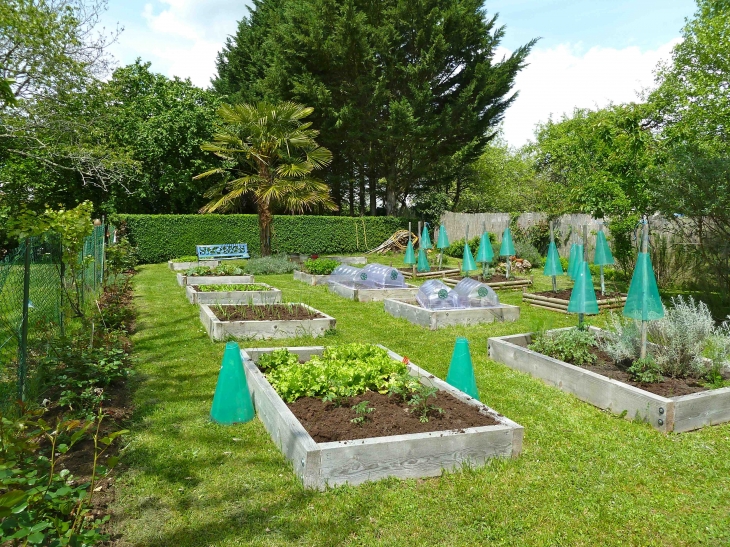 Jardin potager  - Saint-Paul-de-Serre