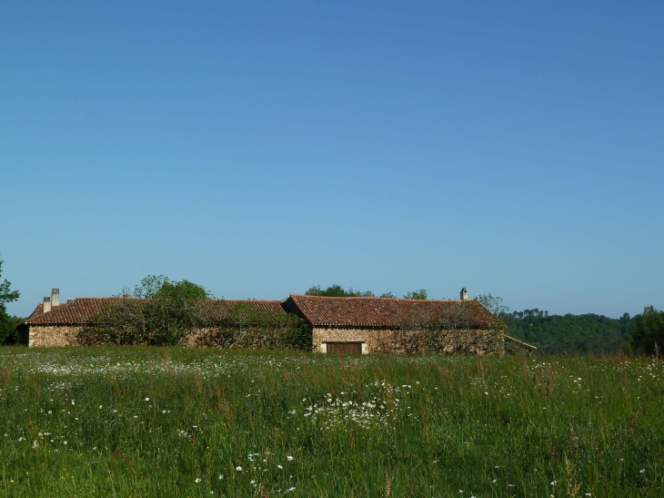 Aux alentours - Saint-Paul-de-Serre