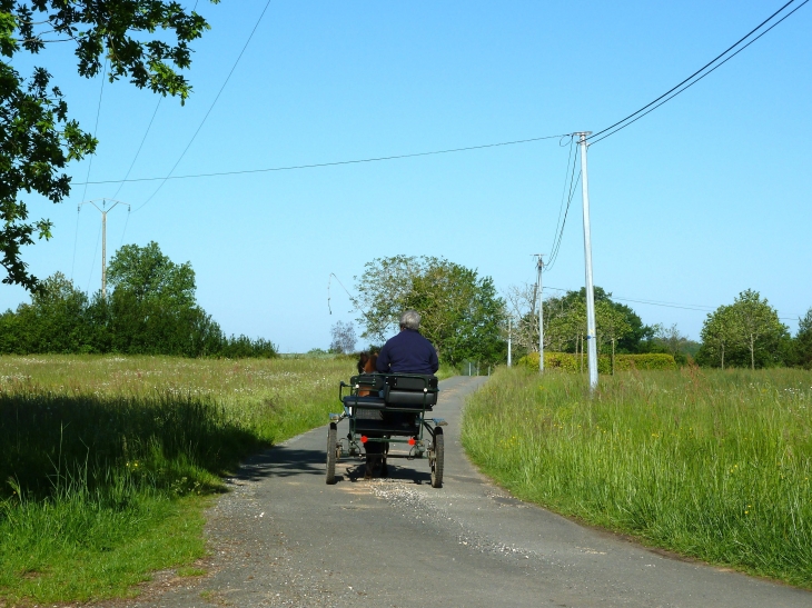 Aux alentours - Saint-Paul-de-Serre