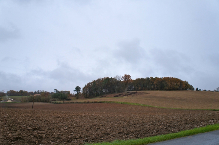 Aux alentours - Saint-Paul-de-Serre