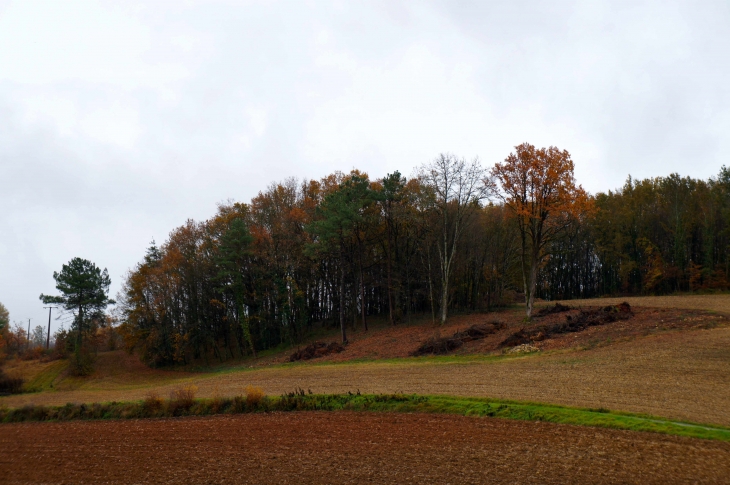 Aux alentours - Saint-Paul-de-Serre