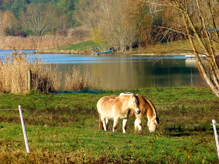 L'étang du Rosier et les Fjords de l'Écurie du Rosier. - Saint-Paul-de-Serre