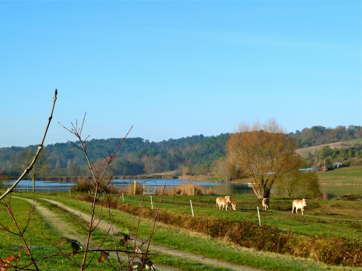 L'étang du Rosier - Saint-Paul-de-Serre