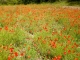 Photo précédente de Saint-Paul-de-Serre Aux alentours