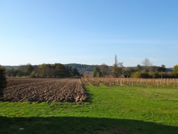 Les Alentours - Saint-Pierre-d'Eyraud