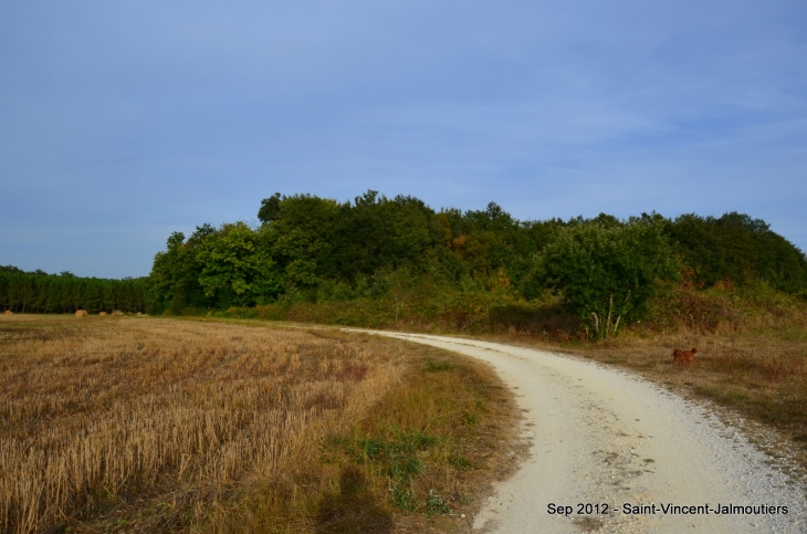 Promenade aux alentours du village - Saint-Vincent-Jalmoutiers