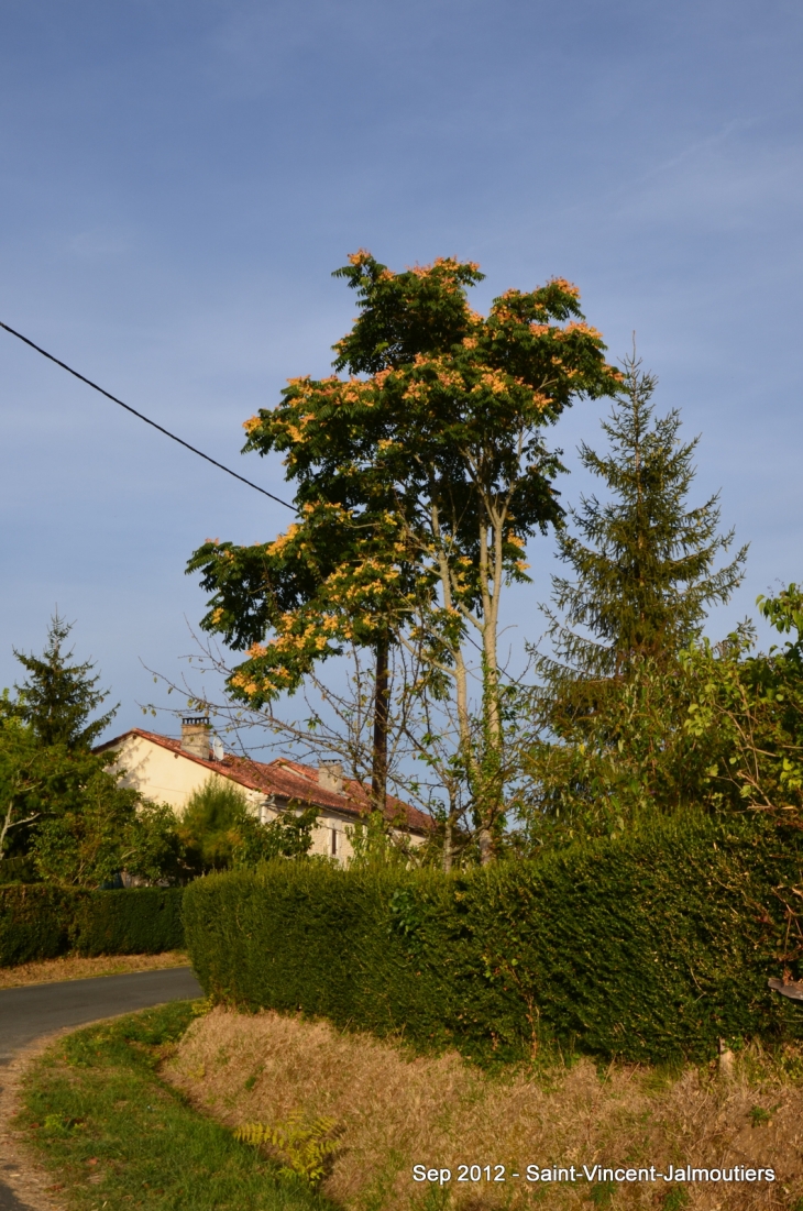 Promenade aux alentours du village - Saint-Vincent-Jalmoutiers