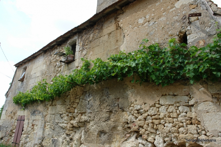 Aux-alentours-du-village - Saint-Vincent-Jalmoutiers