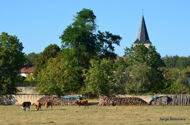 Aux alentours du village - Saint-Vincent-Jalmoutiers