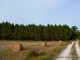 Promenade aux alentours du village