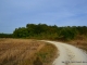 Promenade aux alentours du village