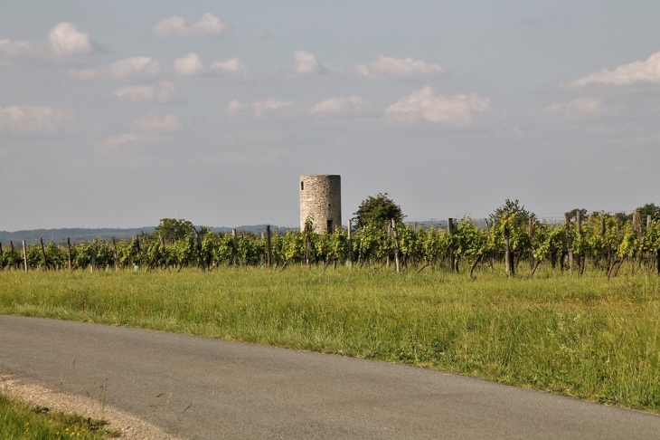 La Tour - Saint-Vivien