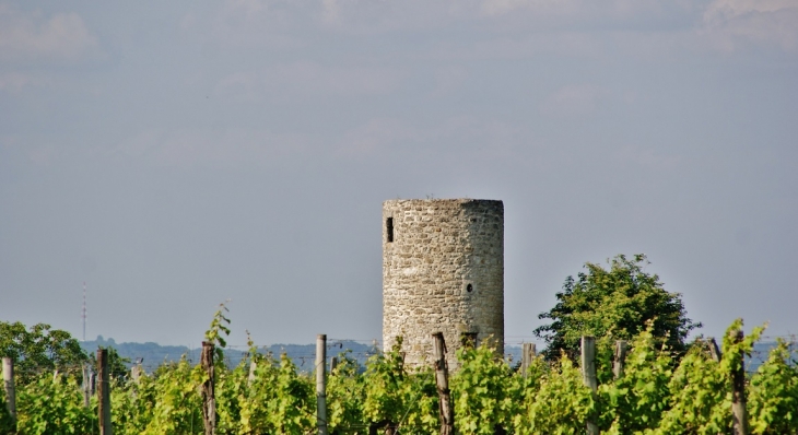 La Tour - Saint-Vivien