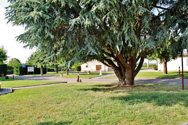 Parc de la Mairie - Saint-Vivien