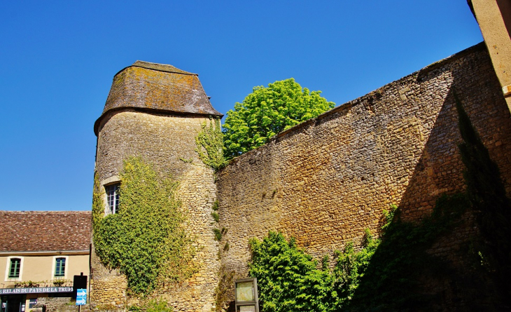 Château  - Sainte-Alvère