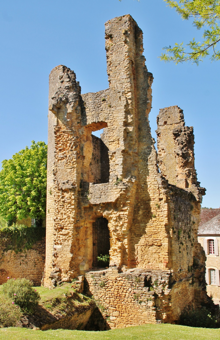 Château ( ruines ) - Sainte-Alvère