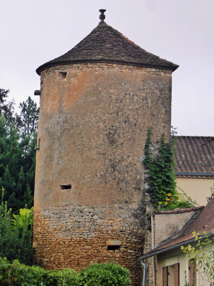 Tour ancienne - Sainte-Alvère