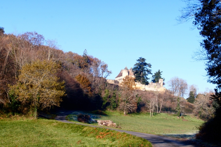 Le château de Fénelon. - Sainte-Mondane